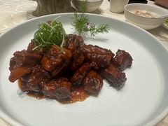 -丁老爷子苏香圆