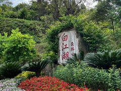 -广州白江湖森林公园