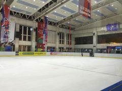 -冠军冰场CHAMPION RINK(中华城店)