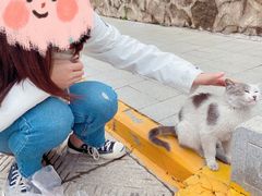 -塔尔寺