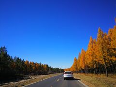 -塞罕坝国家级自然保护区