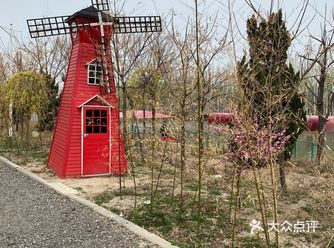 春天里赏花郊游必不可少