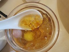 -锦粤宫·精致粤菜(深圳北站店)