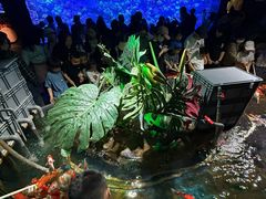 -太平洋海底世界