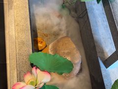 -新渝城·始于2000年(淘金店)