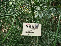-呀路古热带植物园