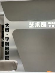 -大树儿童摄影