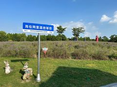 -同里国家湿地公园