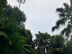-重庆海昌加勒比海水世界