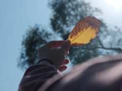 -四海公园(南山区)