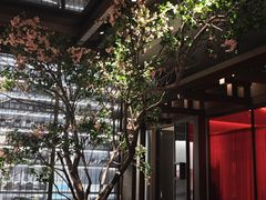 -星·South Beauty·俏江南(国贸店)