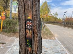 -鄂尔多斯野生动物园