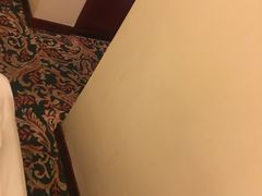 -友好大酒店