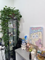 -诗碧曼白发育发洗发护理