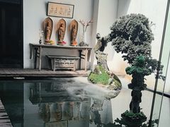 -觀芷隐轩