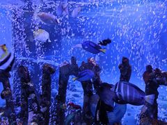 -太平洋海底世界