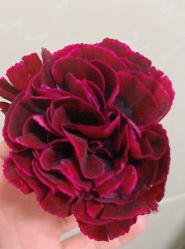 -Oasis Beauty水磨坊科技美肤中心