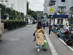 -孙奶奶葱包桧