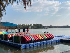 -上海海湾国家森林公园