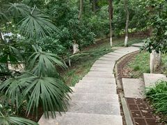 -北极阁公园