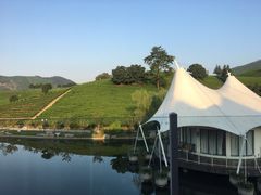 -帐篷客·溪龙茶谷度假酒店