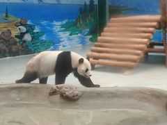 -柳州市动物园