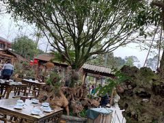 -青城甲(青城山店)