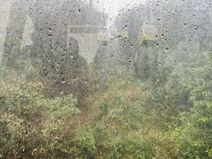 -黔灵山公园
