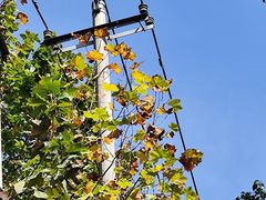 -万达影城(贵阳观山湖万达IMAX店)