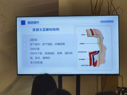 -丰联丽格医疗美容·联合丽格眼整形中心