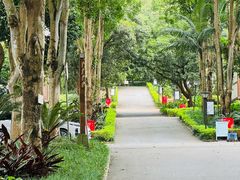 -南宁良凤江国家森林公园