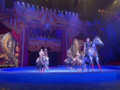 -珠海横琴长隆《卡卡虎奇遇记》