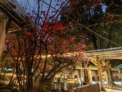 -凤来栖·净庭院·火锅(欧尚店)