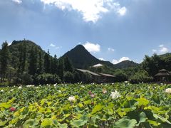 -贵阳市花溪国家城市湿地公园