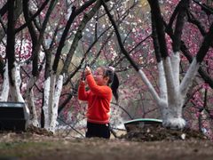 -白塘生态植物园