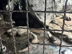 -苏州海洋馆