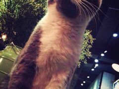 -MIKAKU(万达广场上海宝山店)