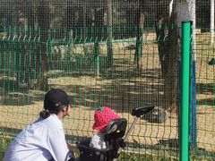 -羊亭河湿地公园