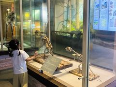 -糖潮糖水铺(省府店)