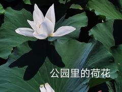 -苏州太湖湖滨国家湿地公园