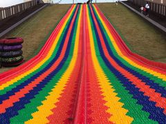 -黄海国家森林公园