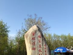 -合肥滨湖国家森林公园