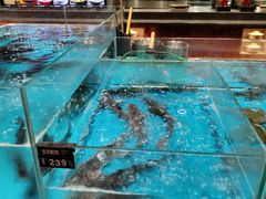 -艳阳天·非遗楚菜(武汉客厅店)