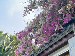 -深圳国际园林花卉博览园