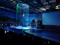 -华夏文旅海洋公园