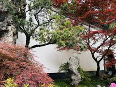 -上海醉白池公园