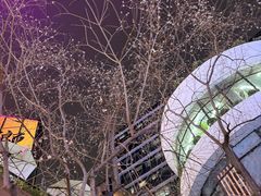 -瑞虹新天地月亮湾