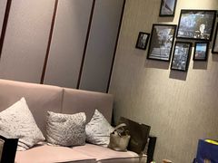 -苏州金科大酒店