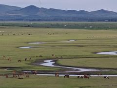 -沽源味道(中环路店)