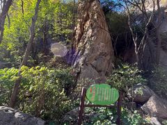 -大岭沟猕猴桃谷风景区
